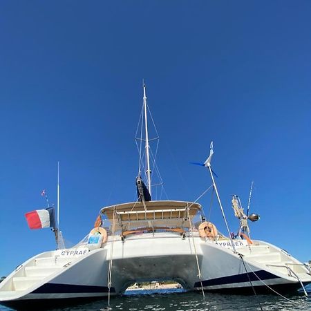Catamaran Cypraea Hotel Terre-De-Haut Exterior photo