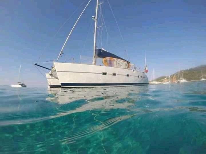 Catamaran Cypraea Hotel Terre-De-Haut Exterior photo