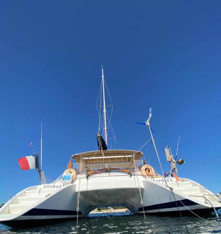 Catamaran Cypraea Hotel Terre-De-Haut Exterior photo